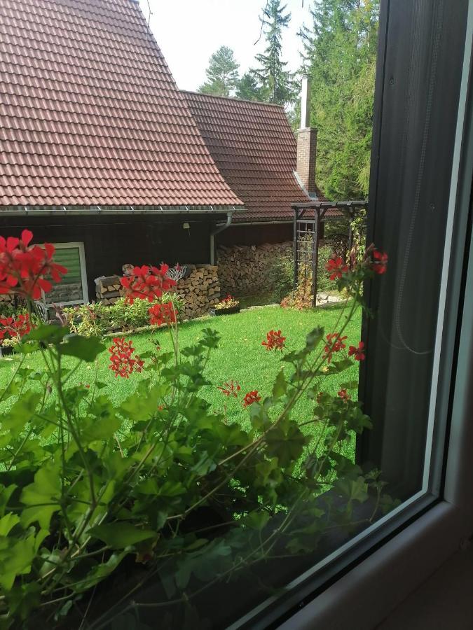 Willa pod lasem Szklarska Poręba Esterno foto
