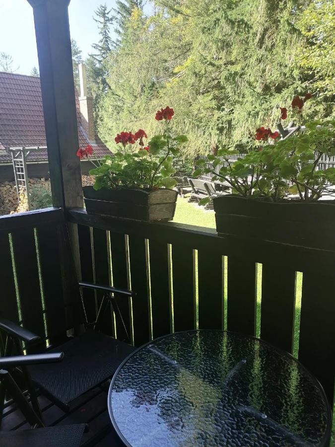 Willa pod lasem Szklarska Poręba Esterno foto